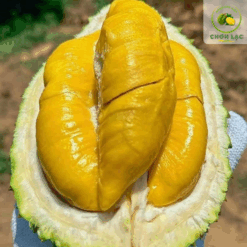 Sầu Riêng Thái