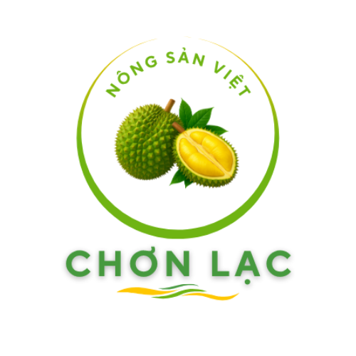 CÔNG TY TNHH CHOLA